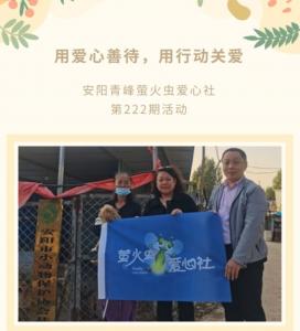 用愛心善待，用行動關愛--青峰創元集團螢火蟲愛心活動第222期報道